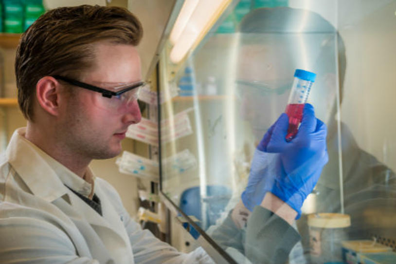Exploring New Targets for Parkinson’s Therapies