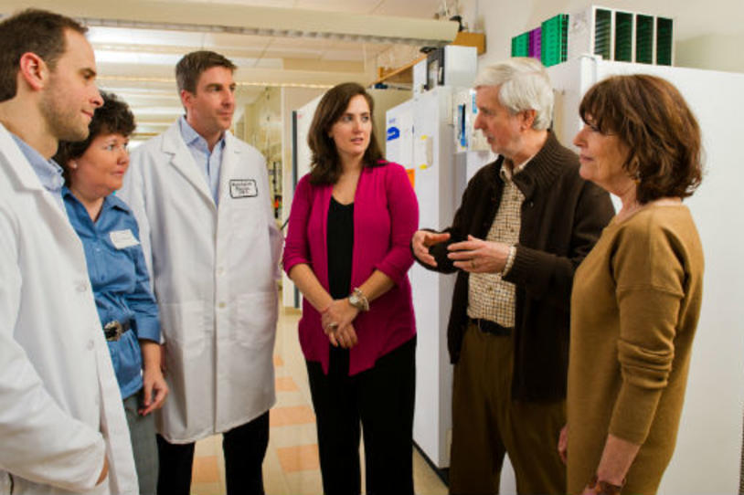 Flurry of Investor Activity Accelerates Parkinson's Therapies through Development