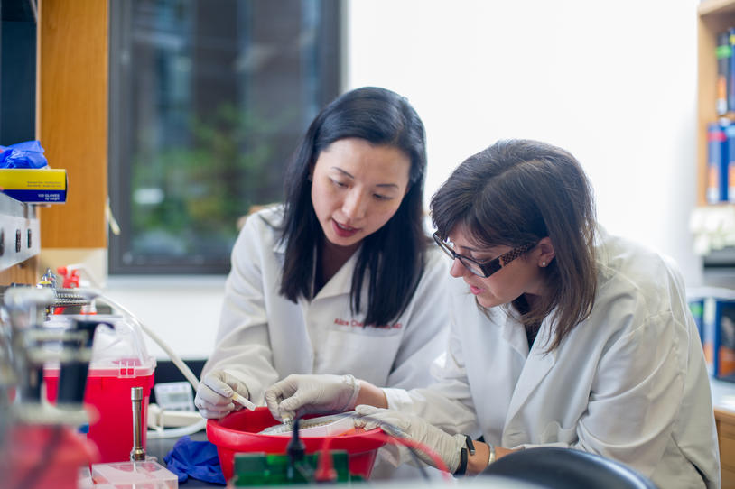 Two female researchers in the lab.