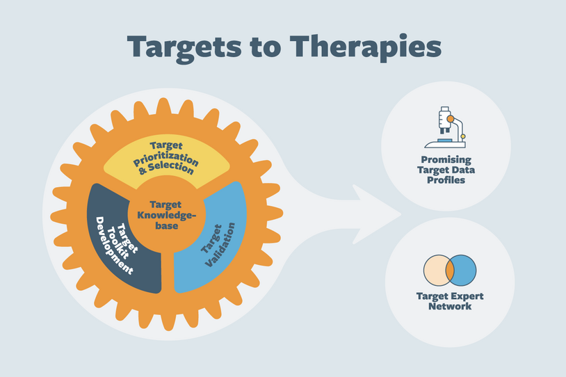 Targets to Therapies Image