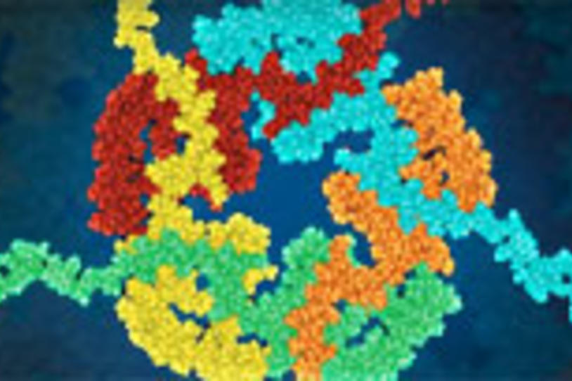 Study: Parkinson's and Alzheimer's Have Nothing in Common, Genetically