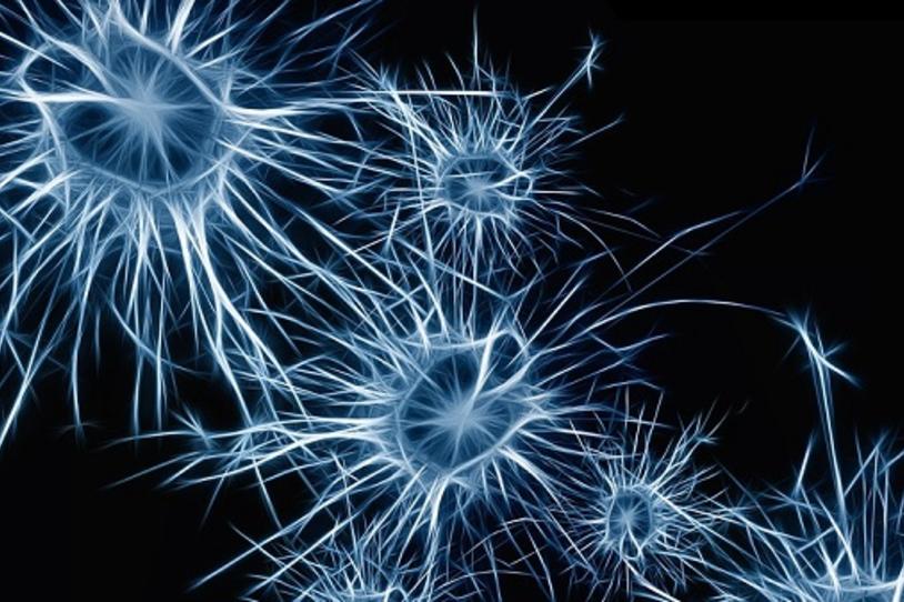 Trophic Factor Project Receives $6M Grant for Clinical Testing after Early MJFF Funding