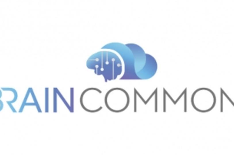 Brain Commons Logo