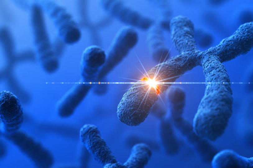 MJFF Hosts Workshop on GBA, a Genetic Risk Factor for Parkinson’s