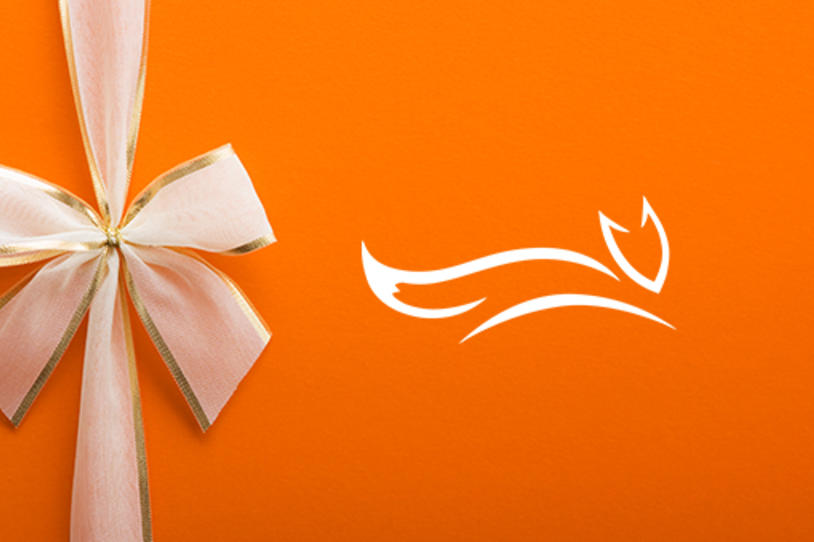 5 Shop Fox Gifts for $25 or Less