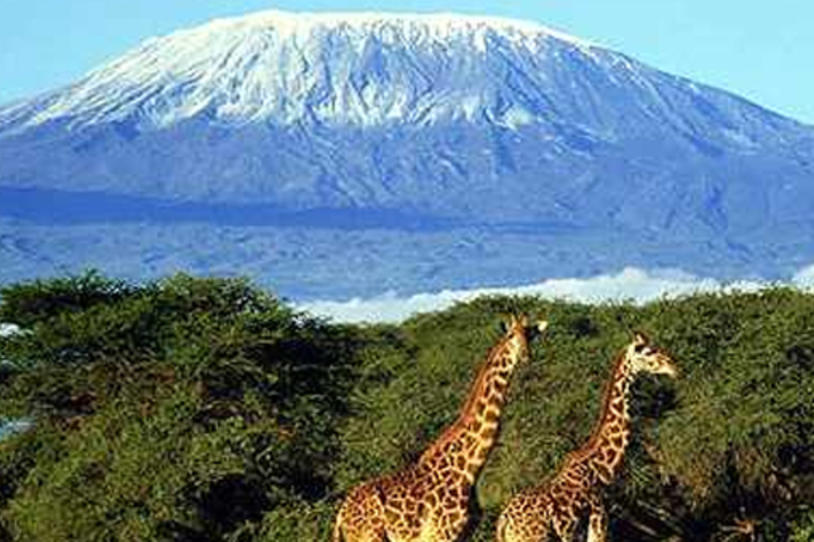 Summit Mt. Kilimanjaro: Join Team Fox on an Expedition to Reach the Top of Africa