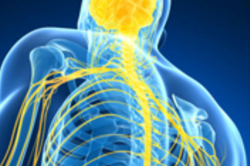Leave the Brain Out of It: Spinal Stimulation Could Offer an Alternative to Treat Parkinson's Motor Symptoms