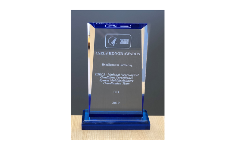 The “Excellence in Partnership” award received by the NNCSS team at the 2019 CSELS Honor Awards Ceremony.