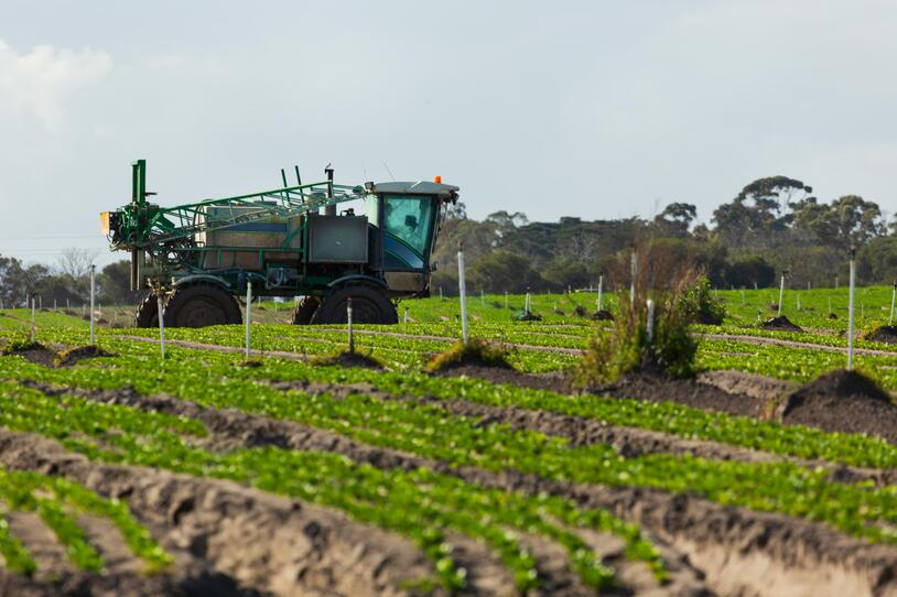 Truck sprays pesticide on crops.