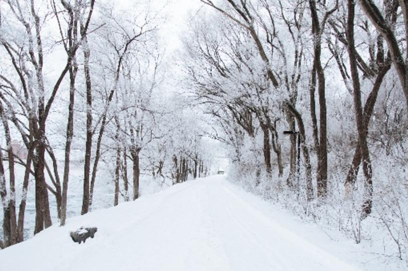 10 Tips for a Healthy Winter with Parkinson’s Disease