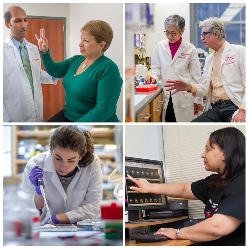 Grid of four images including researchers in lab, doctor with a patient and nurse pointing to computer screen.
