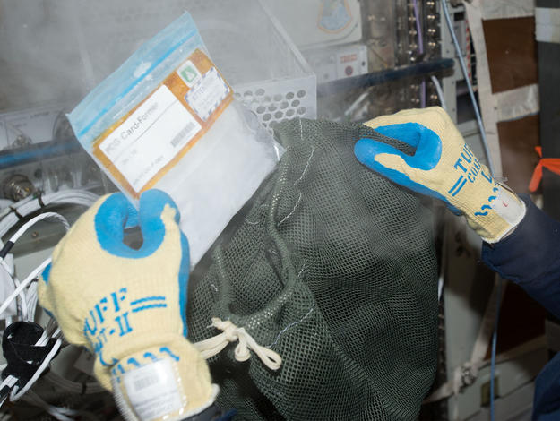 LRRK2 protein aboard the International Space Station in 2017.