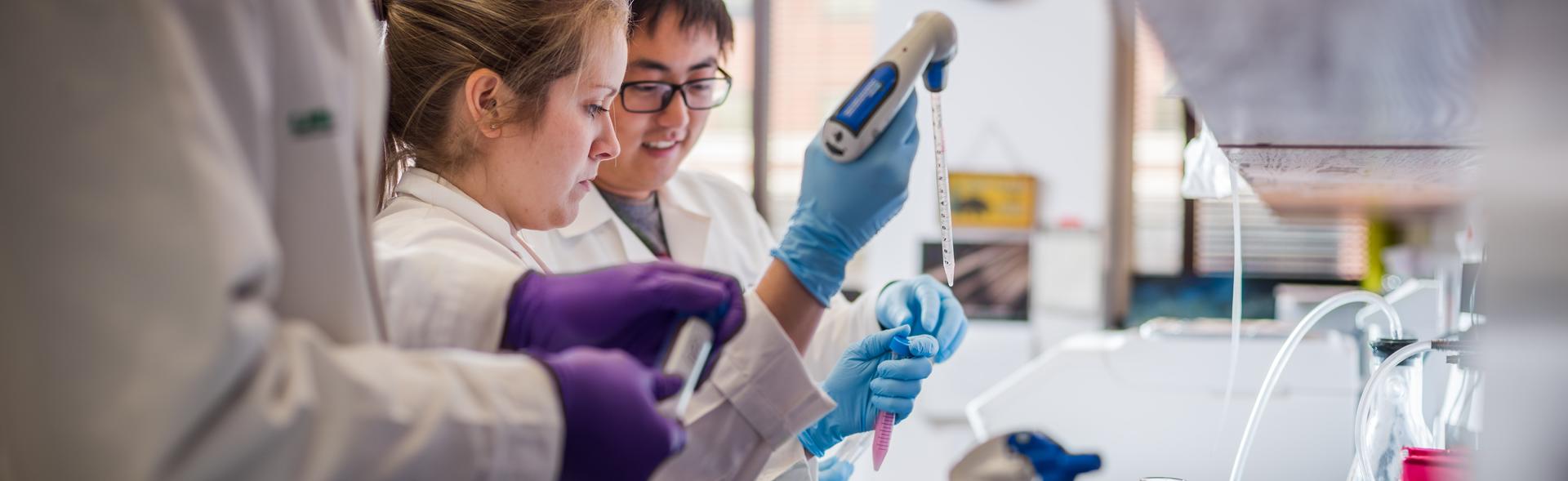 Researchers in a lab