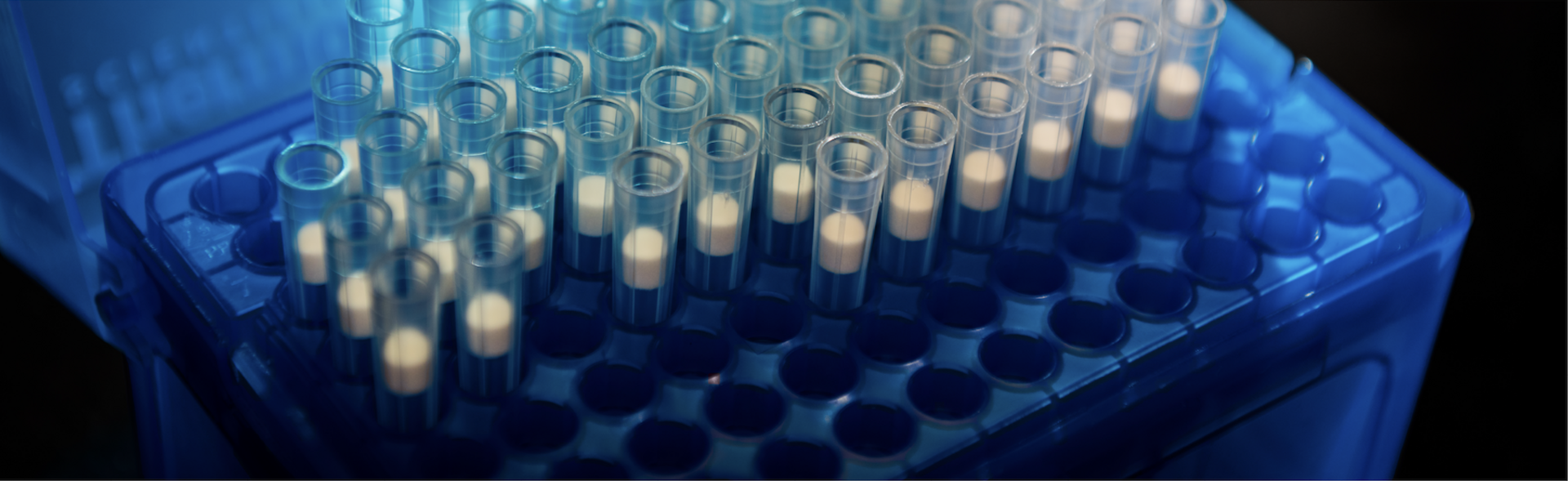 scientific testing vials in a clear, blue container