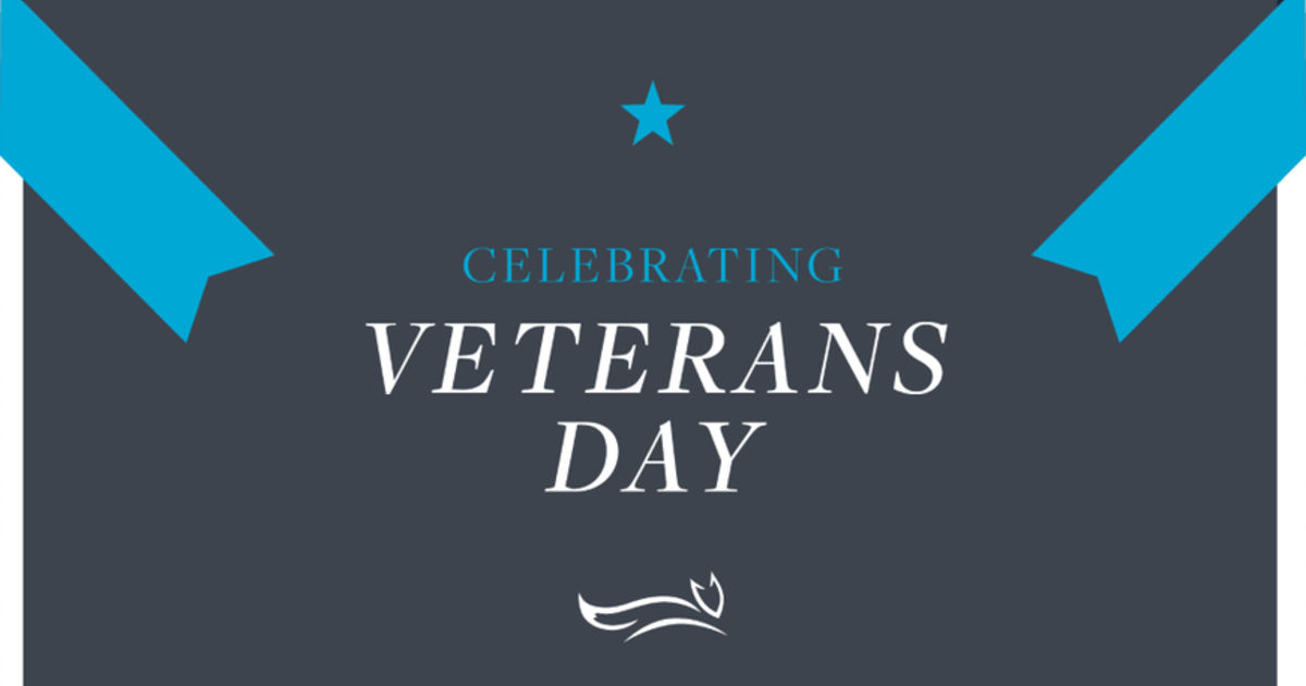 How Mjff Advocates For The 80 000 U S Veterans With Parkinson S Disease Parkinson S Disease