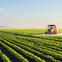 tractor sprays paraquat on crops
