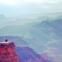 No Mountain High Enough - No Valley Low Enough, The Xtreme Adventures of Tour de Fox