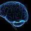 WSJ: New Results Suggest Deep Brain Stimulation Benefits Psychiatric Conditions