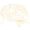 brain illustrated 
