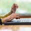 Patient using laptop