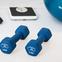 Set of weights next to blacks sneakers, a scale and blue ball. 
